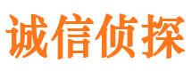 稻城寻人公司